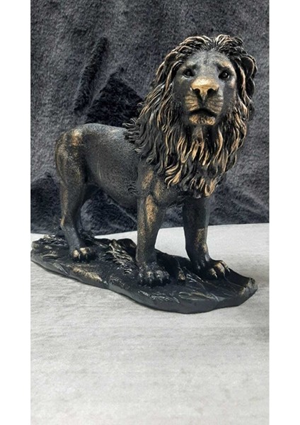 Aslan Biblo