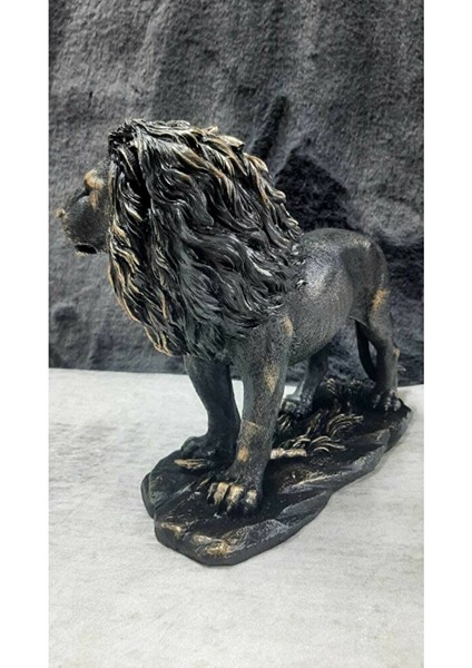 Aslan Biblo