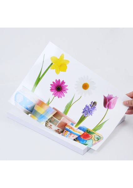 Rapunzel Satin Fotoğraf Kağıdı - 260gsm - 50yp - A4