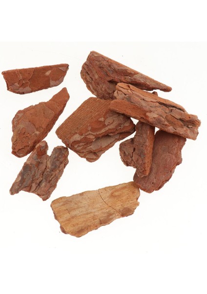 F Fityle Teraryumlar İçin Sürüngen Substrat Doğal Yatak Toprağı Sürüngen Yatak (650G) Büyük Granül (Yurt Dışından) modelleri