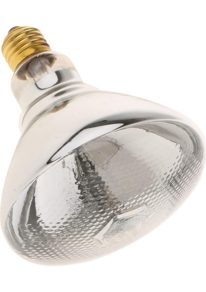 F Fityle Pet Sürüngen Üreme Isı Lambası Ampul (Yurt Dışından)