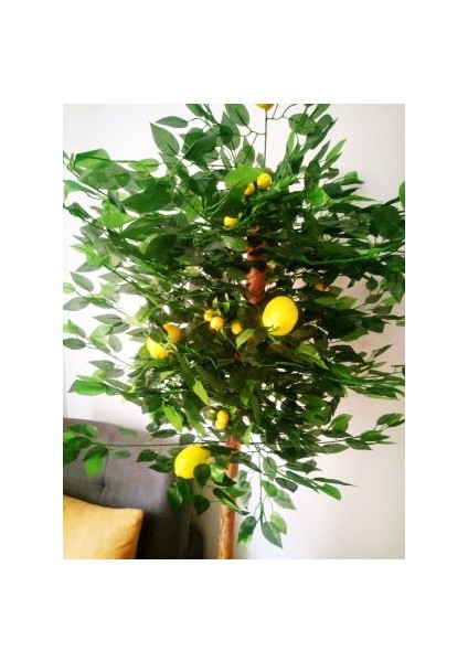 Yapay Sarı Limon Ağacı 1.70 mt Boy Büyük Meyveli Gerçek Görünümlü Meyve Ağacı