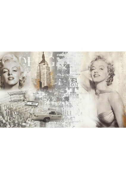 Monroe 3D Poster - 3 Boyutlu Tek Parça Duvar Kağıdı fiyatları