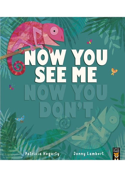 Now You See Me Now You Don T