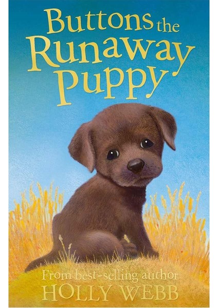 Buttons The Runaway Puppy - Anımal Storıes
