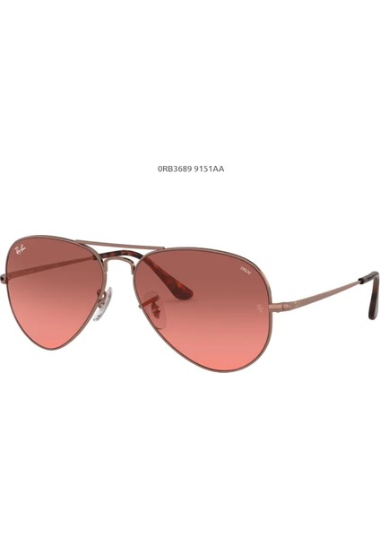 RB3689 55 9151/AA Unisex Güneş Gözlüğü