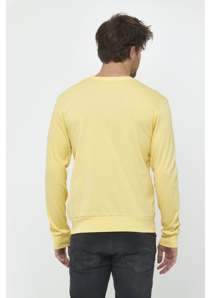 Bisiklet Yaka Sweat