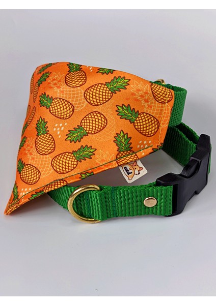 Pine Fularlı Köpek Boyun Tasması