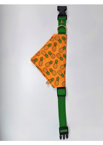 Pine Fularlı Köpek Boyun Tasması fiyatları