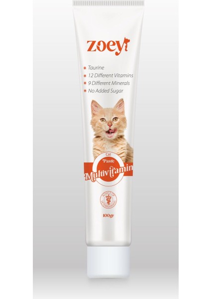 Multivitamin Paste 100 gr (Yeme Garantili)