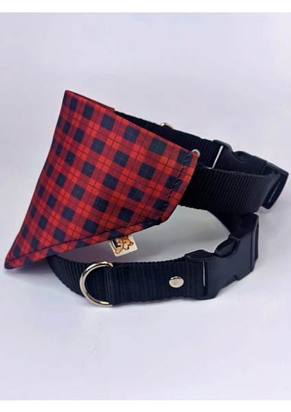Stylish Fularlı Köpek Boyun Tasması