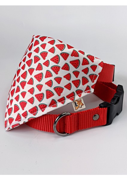 Watermelon Fularlı Köpek Boyun Tasması