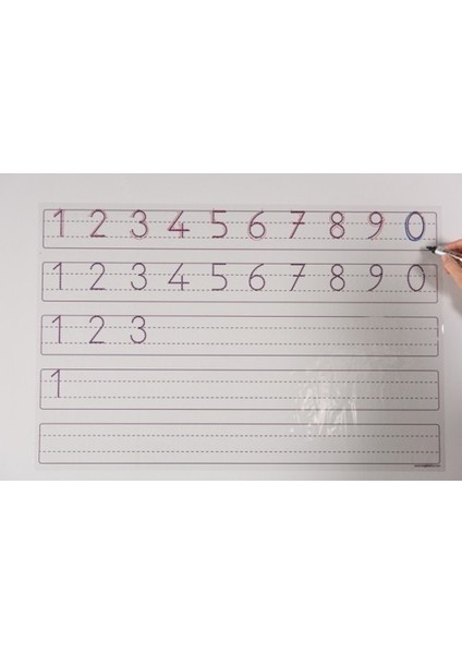 Rakam Çalışma Tablosu 56CM x 85CM + Kalem Hediye