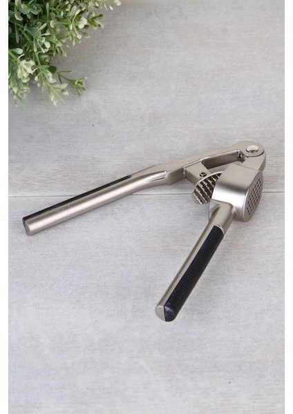 Çelik Sarımsak Ezici