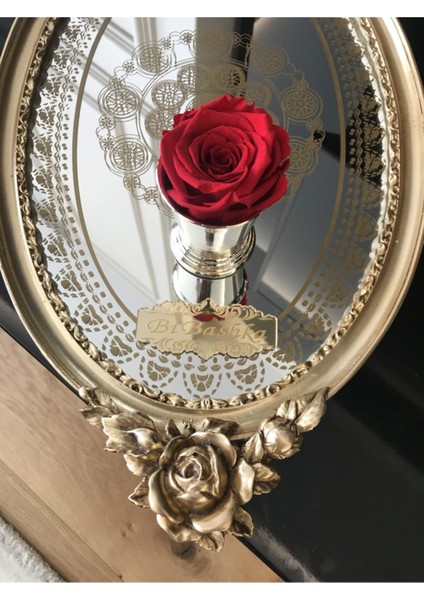 Rose Amore Solmayan Gül Xl Boy 6,5x4,5 Ölçülerinde