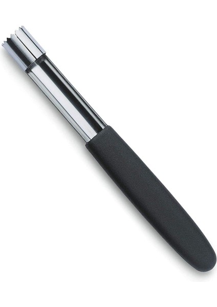 Elma Oyacağı Evrekala