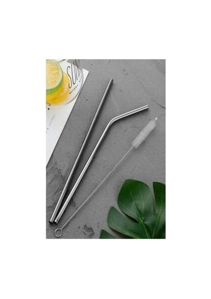 Çelik Pipet 4 Ad. Paslanmaz + Temizleme Fırçası Seti