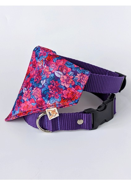 Lilac Fularlı Köpek Boyun Tasması
