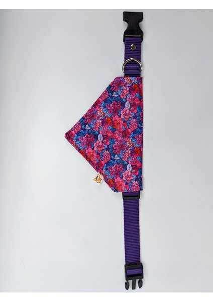 Lilac Fularlı Köpek Boyun Tasması fiyatları