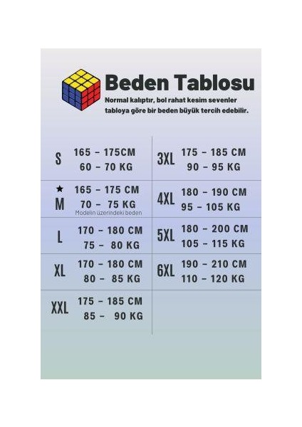 Gri Çapa Baskılı Kısa Kollu V Yaka Erkek Tişört 22ETSHVCPA fiyatları