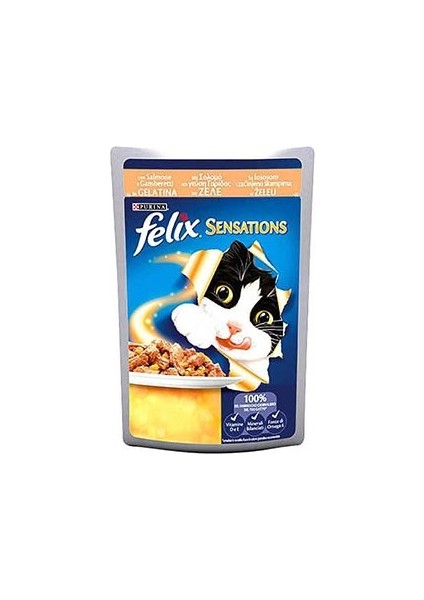 Sensation Somon & Karidesli Kedi Yaş Mama 85 gr x 26 Adet