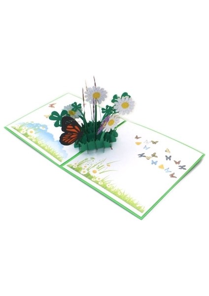 2 Adet 3D Stereo Tebrik Kartı (Yurt Dışından)