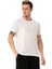 Bisiklet Yaka Basic Erkek Tshirt 3