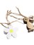 8 Adet Set Paskalya Bunny Tavşan Çiçek Pendents Ahşap Etiketler Asılı Dekorasyon (Yurt Dışından) 1