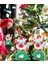 Noel Baba Aşıları Kolye Hediyelik Eşya Süslemeleri Xmas Ailesi Için Kolye A (Yurt Dışından) 4