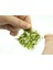 Aquarium Balık Tankı Için Dikdörtgen Su Bitki Yosun Ped 5x8 cm (Yurt Dışından) 5