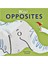 Wıld Opposıtes 1