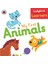 My Fırst Anımals - Ladybırd Learners 1