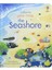 Peep Insıde The Seashore 1