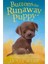 Buttons The Runaway Puppy - Anımal Storıes 1