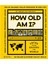 How Old Am I? 1
