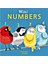 Wıld Numbers 1