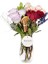 Apple Rose 1