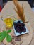 Katırlı Köyü Siyah Sele Zeytin 500 gr 2