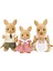 Sylvanian Families Oyuncak Kanguru Ailesi 2