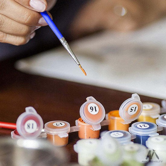 Hobi Tedarik Renkli Balonlar ve Uçan Ev Çerçeveli 50X65 Fiyatı