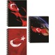 Seçili Renk Renkli