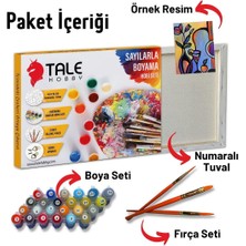Tale Hobby Kişiye Özel Yapım Sayılarla Boyama Seti Tuvale Gerili 60X75CM