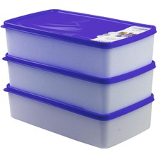 Hobby Life Alaska Nofrost Saklama Kabı 2 Litre 3'lü Mor