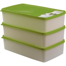 Hobby Life Alaska Nofrost Saklama Kabı 2 Litre 3'lü Yeşil