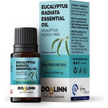 Doalinn Okoliptus Radiata Uçucu Yağı 10 ml
