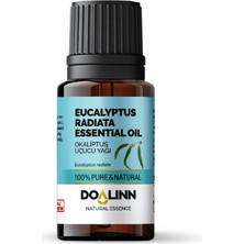 Doalinn Okoliptus Radiata Uçucu Yağı 10 ml
