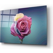 Eliza Home  Gül Cam Tablo