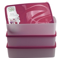 Hobby Life Alaska Nofrost Saklama Kabı 2 Litre 3'lü Fuşya