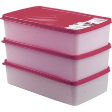Hobby Life Alaska Nofrost Saklama Kabı 2 Litre 3'lü Fuşya