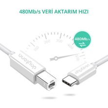 Daytona Tb1-2 Type-C To USB B Telefon Bilgisayar Tablet Için Mıdı Org Elektrikli Piyano Yazıcı Konnektörü Çevirici Kablo (2Metre)